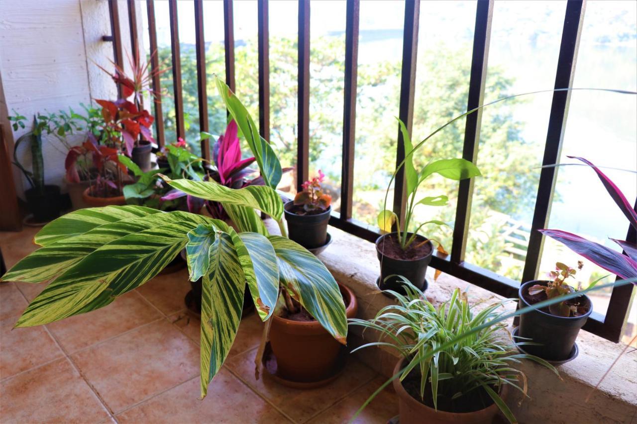 Portofino Apartment Lavasa Exterior photo